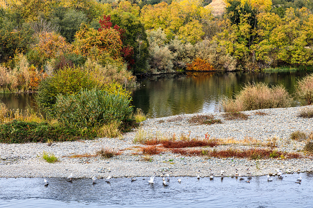 Fall Feeding Frenzy by John Stumbos