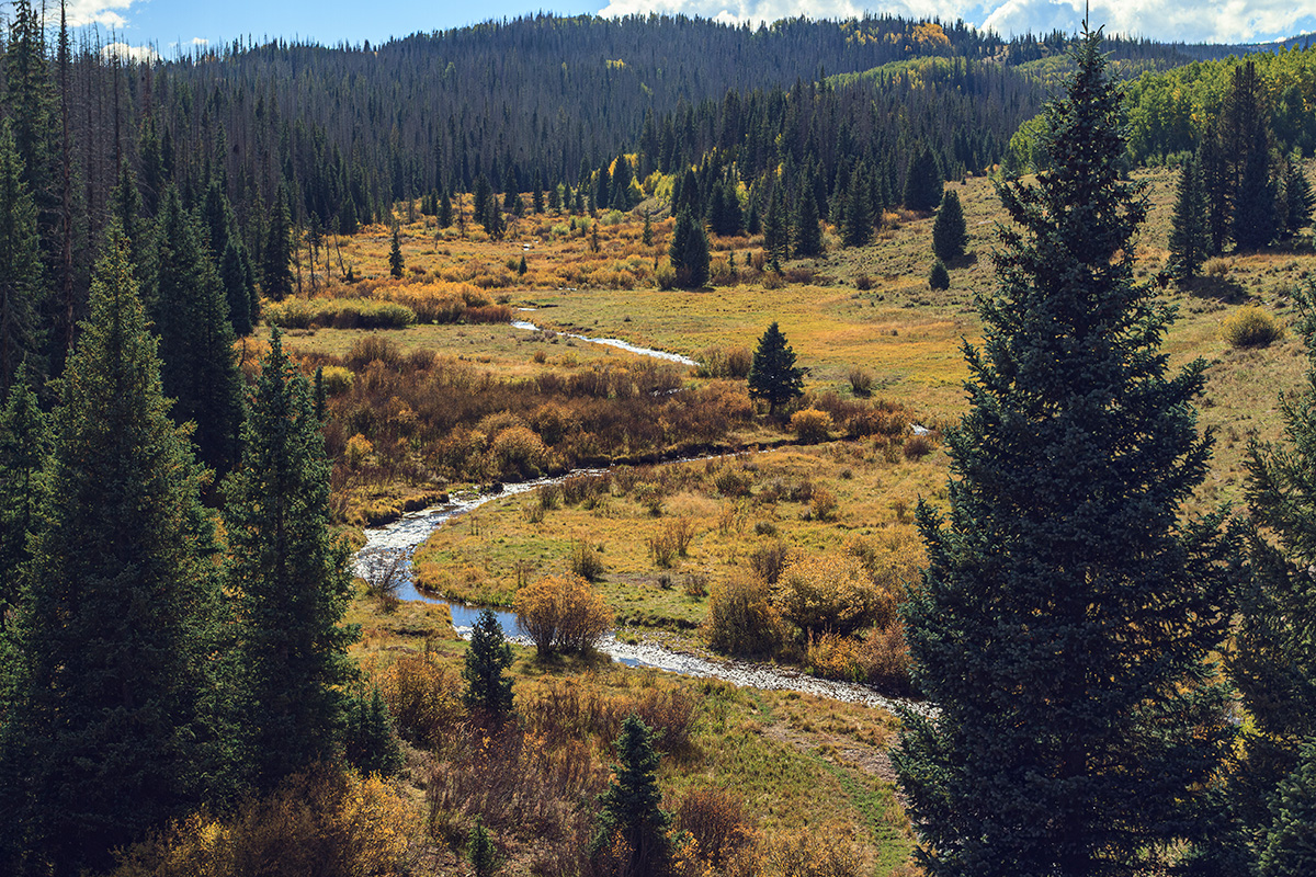 On the Border by John Stumbos