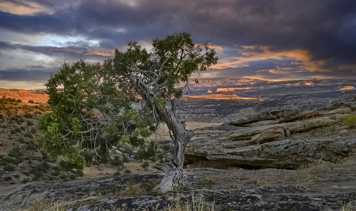 Sunseton UT-CO Border by Leslie Larson