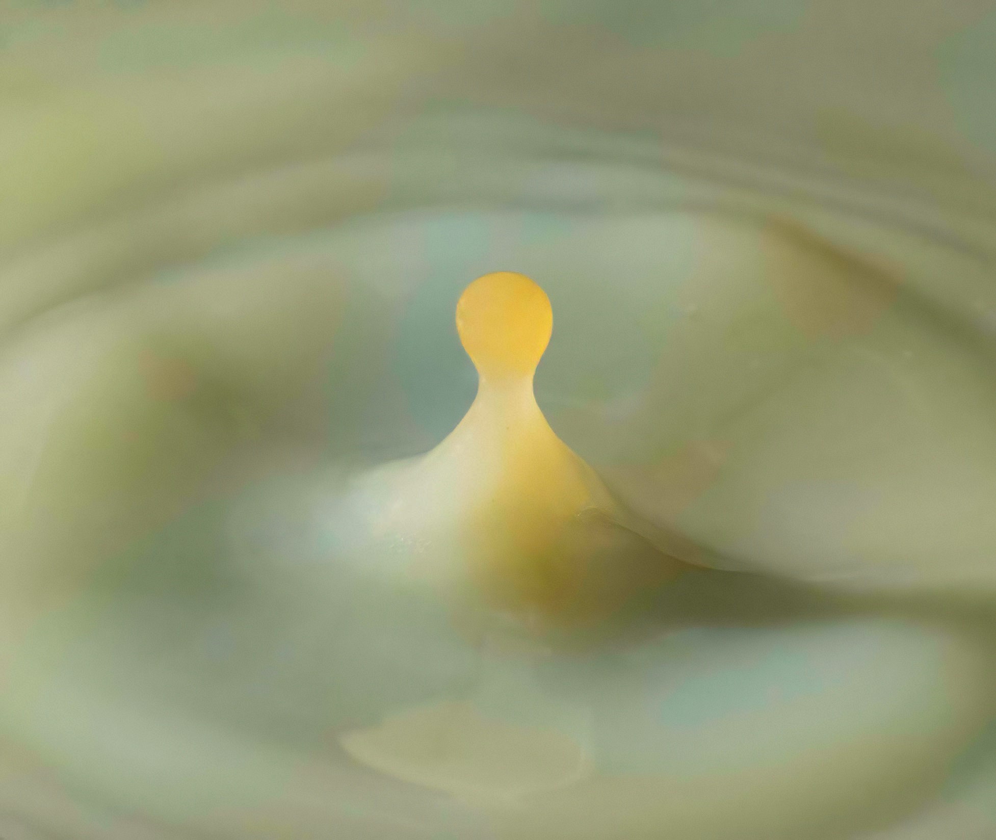 A Soothing Dip in a Milk Bath