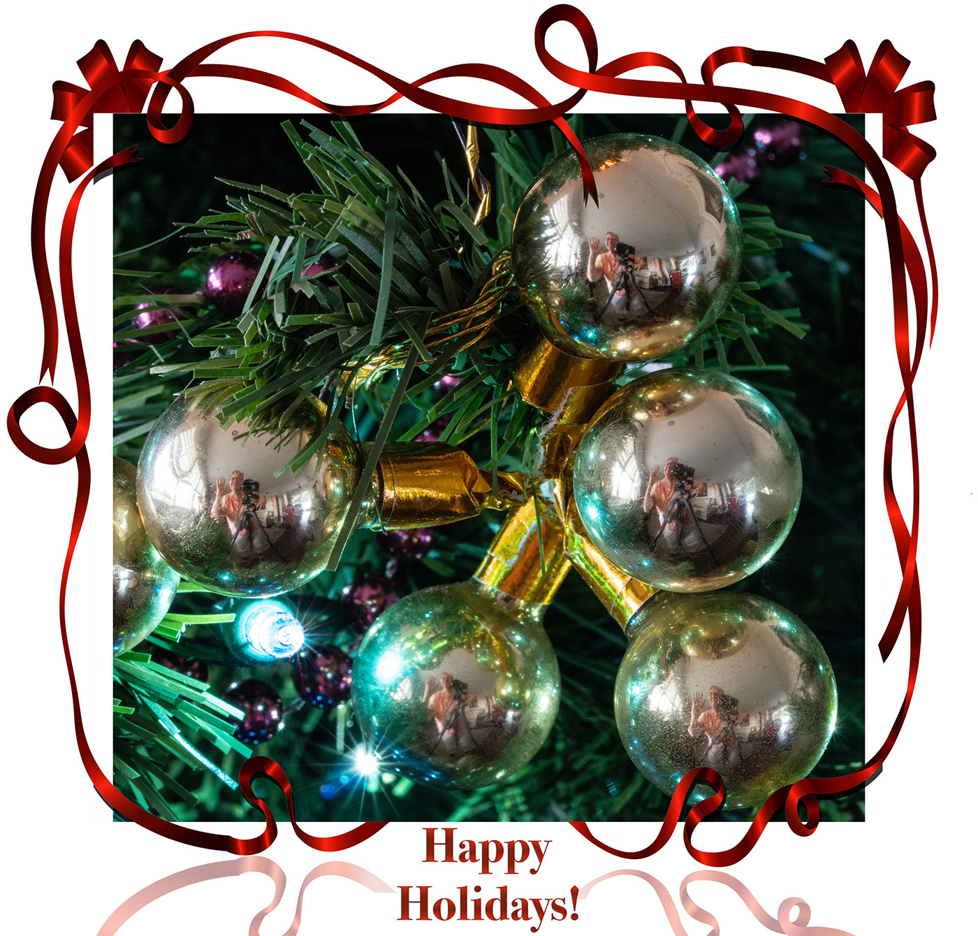 Orb of Many Selves by Cheryl Diermyer