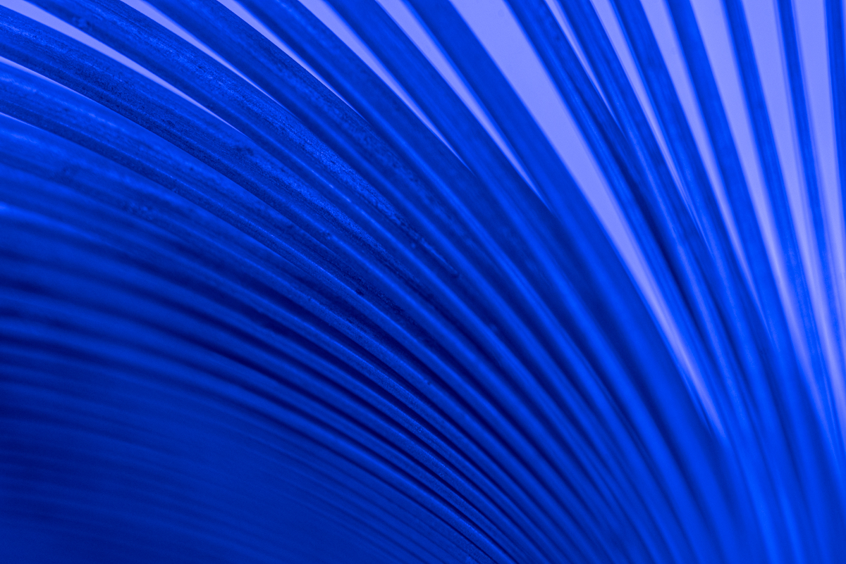 Slinky Blue by Pat Glenn