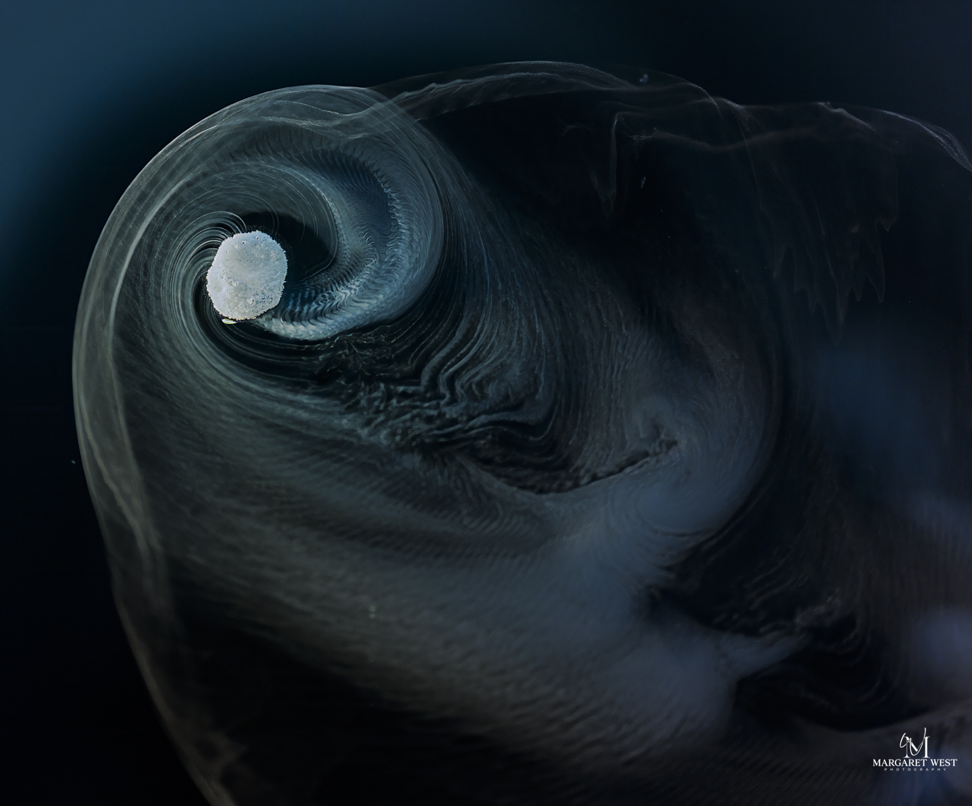 The Swirl by Margaret West