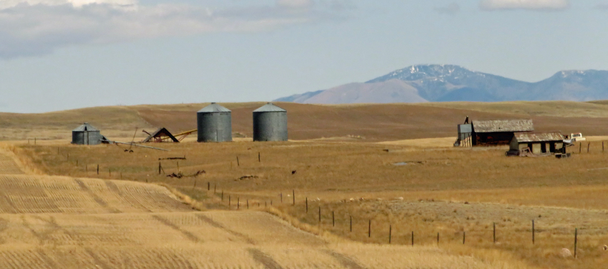 Silos and Sheds by Kenneth Taylor