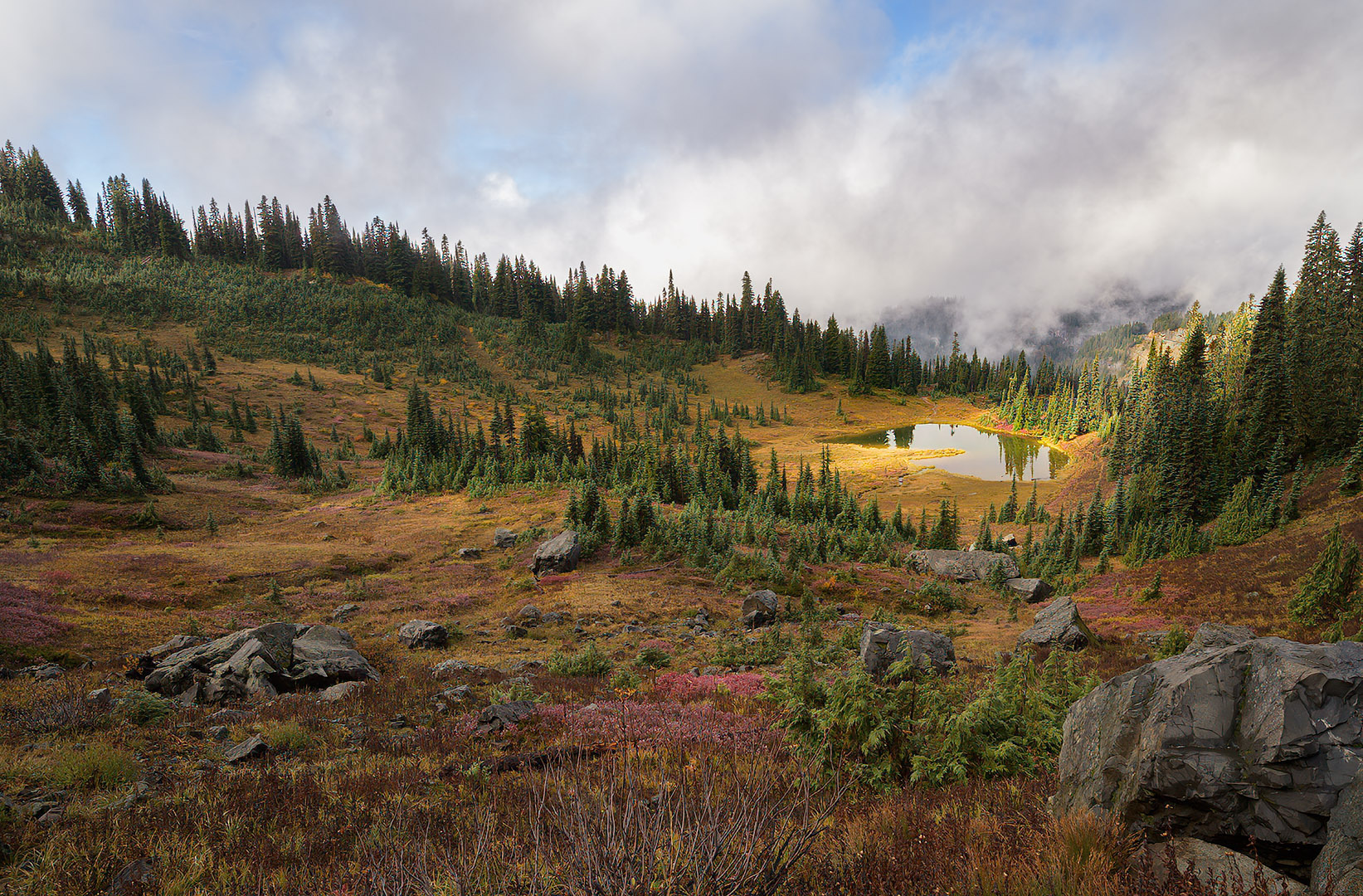 Clearing by Michael Griswold