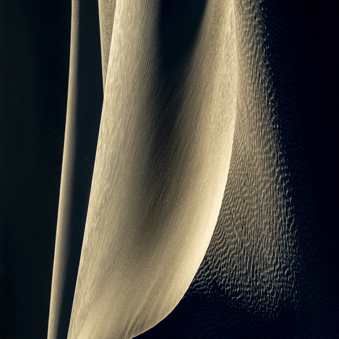 Wings of Sand by Jim Williams