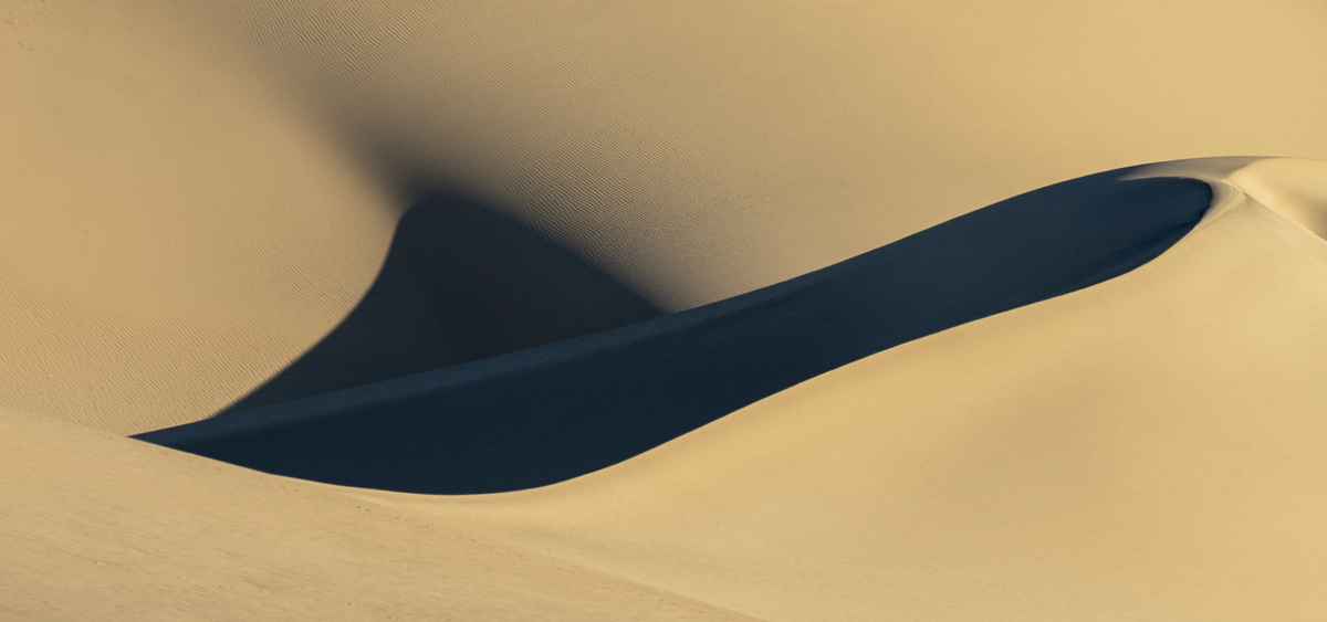 Mesquite Dunes by Jim Williams