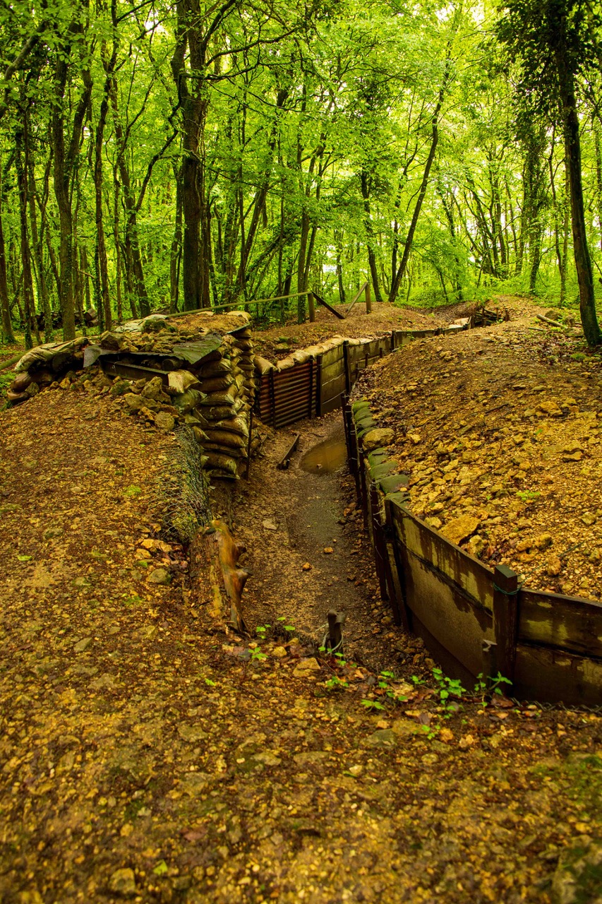 Remains of WAR by Bruce Flamenbaum