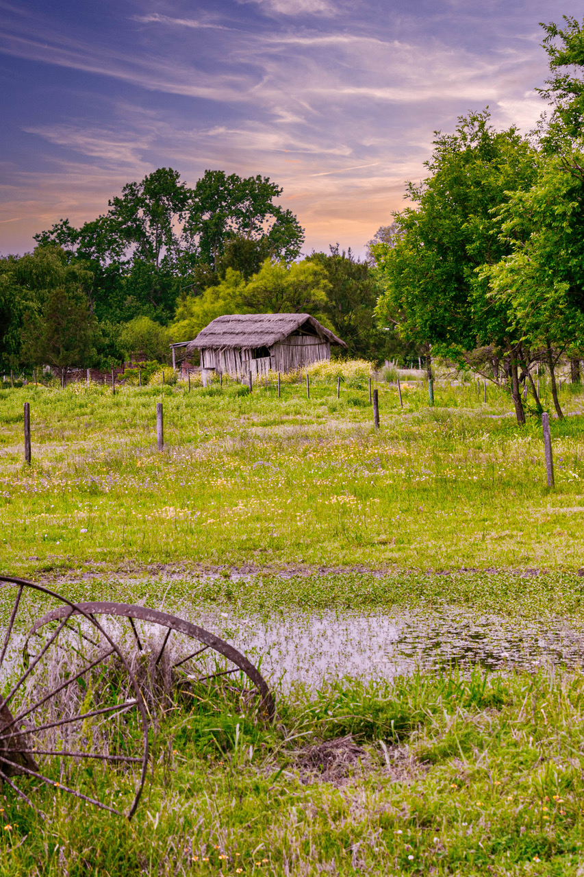 Pampas, Argentina by Bruce Flamenbaum
