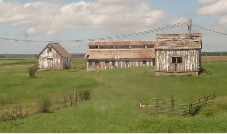 Old Barns by Kenneth Taylor