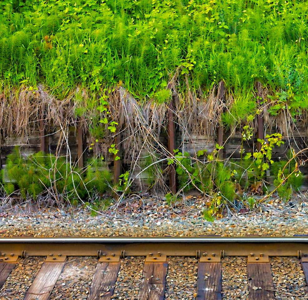 Railway Garden by Rick Hulbert