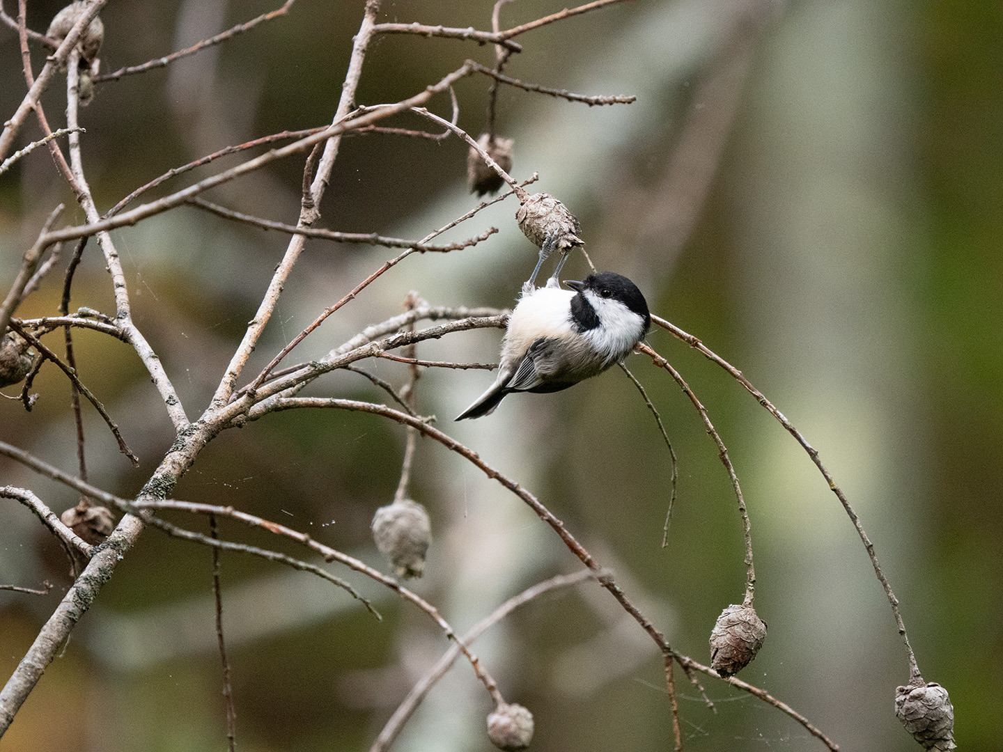 April 2026 - Jeremy Martin