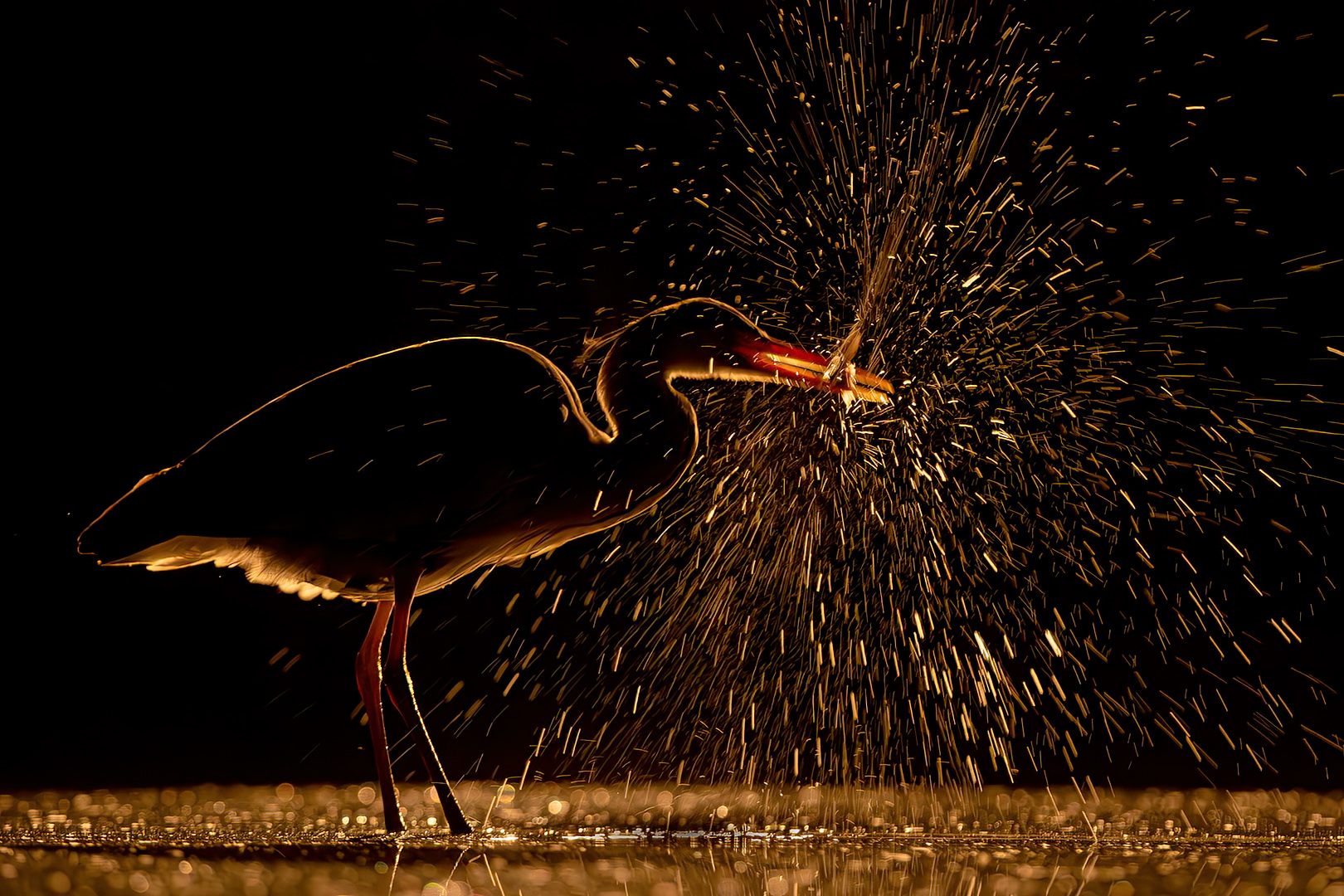 Fireworks by Dr Ernoe Barsi