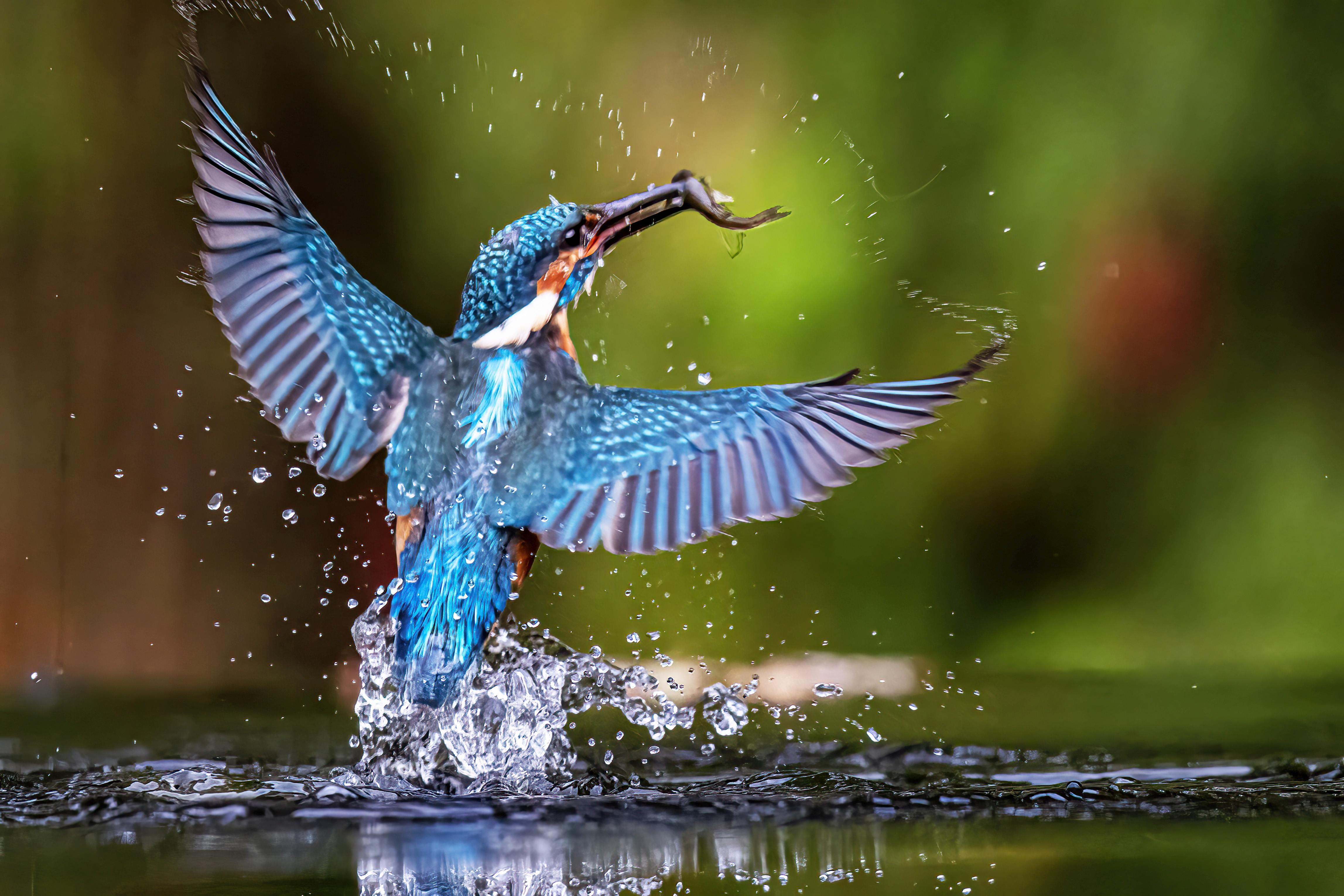 He Is Back Again by Peter Hornbostel