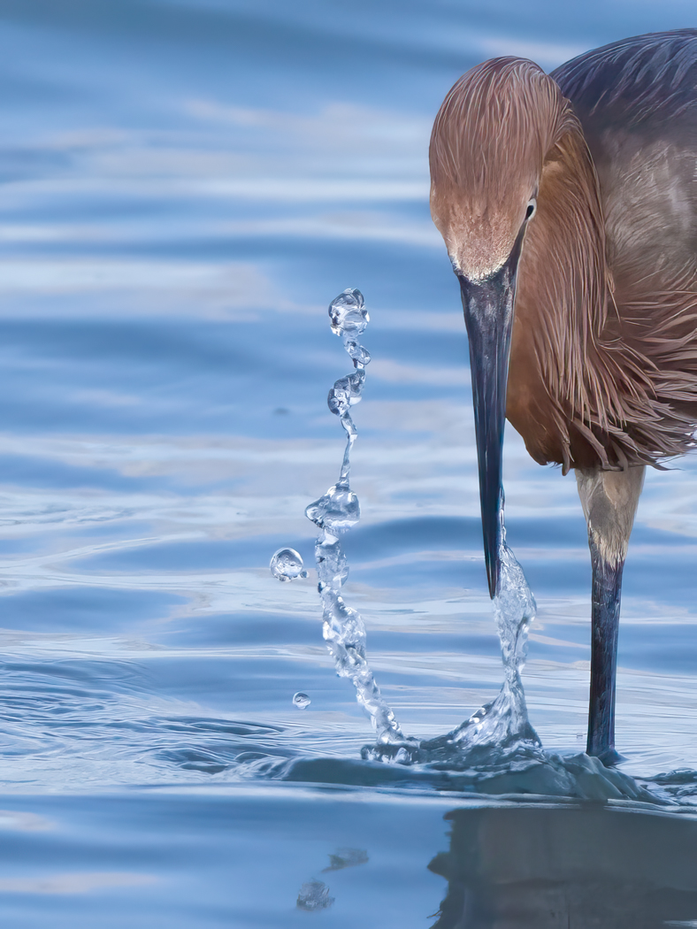 Roy Lockwood Group 97 PSA Digital Dialogue