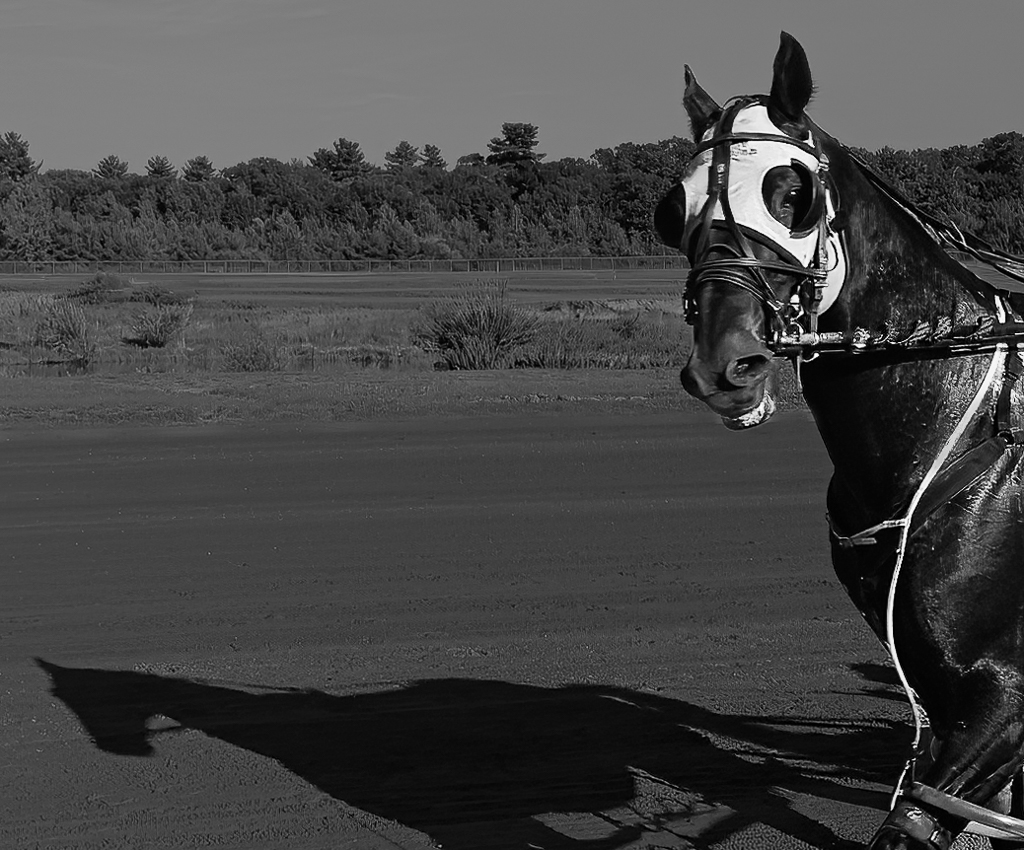 Hi there! by Barbara Asacker