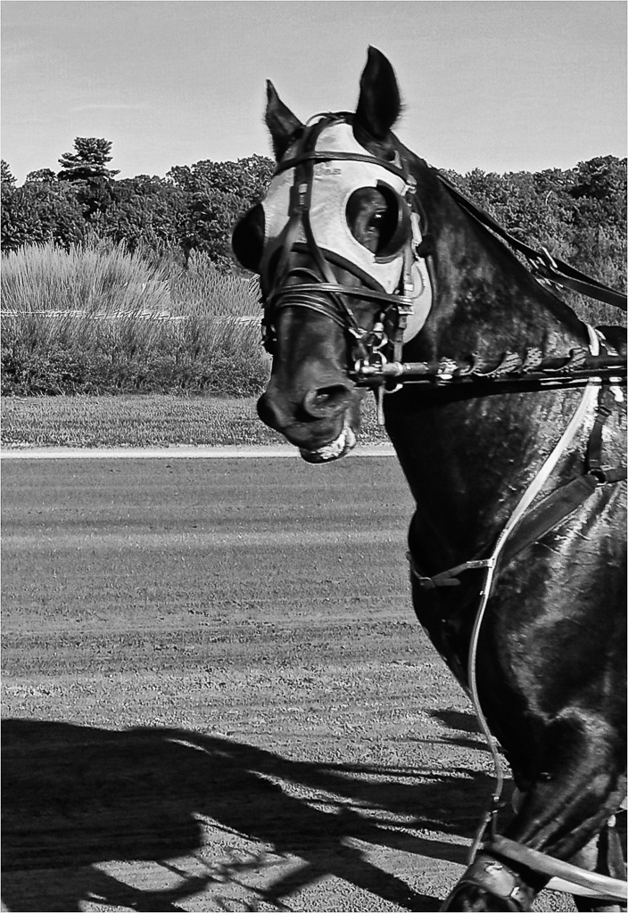 November 2025 - Barbara Asacker