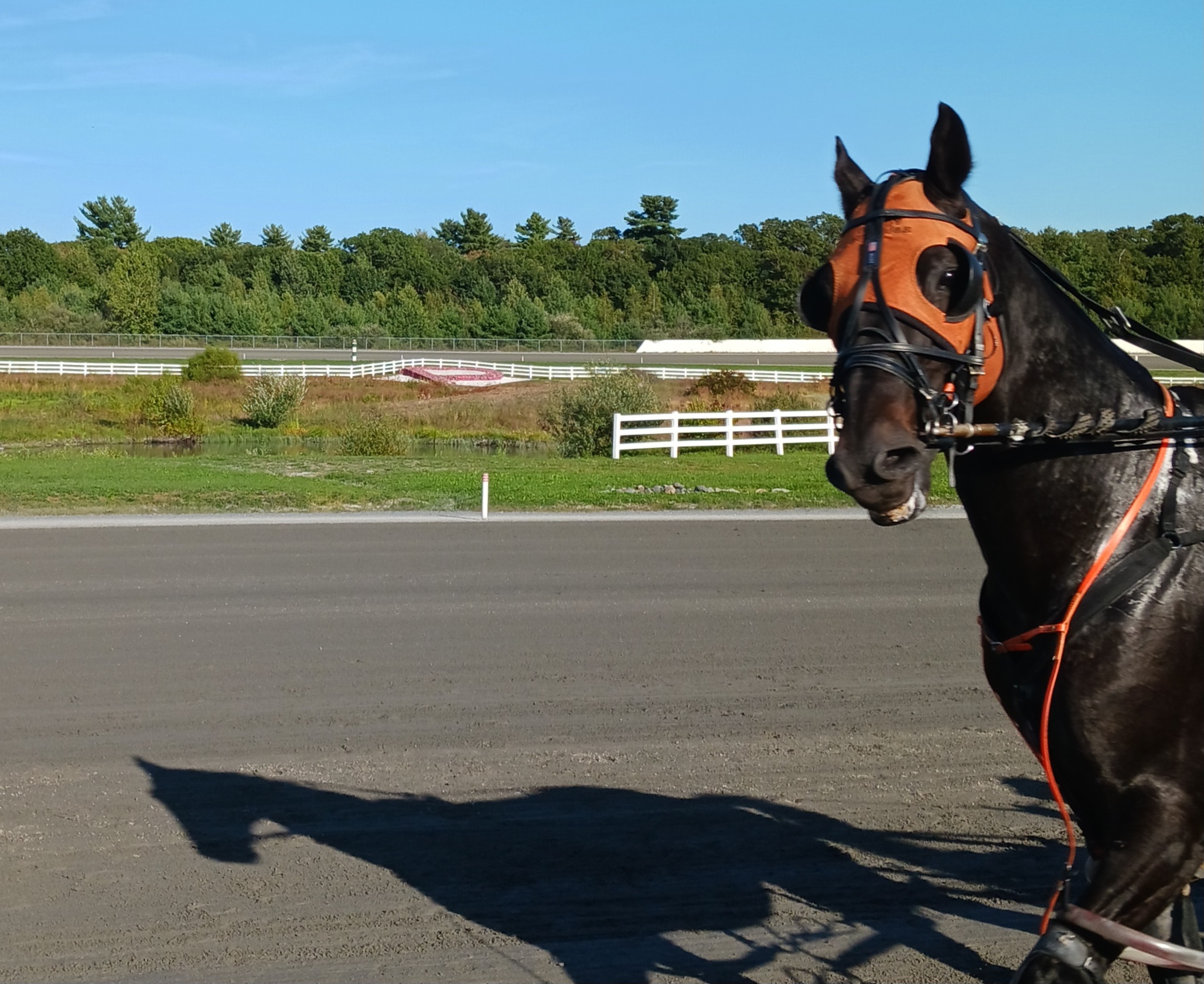 November 2025 - Barbara Asacker