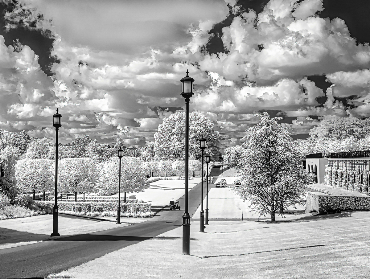 Longwood Pathway IR View by Mark Lieberman