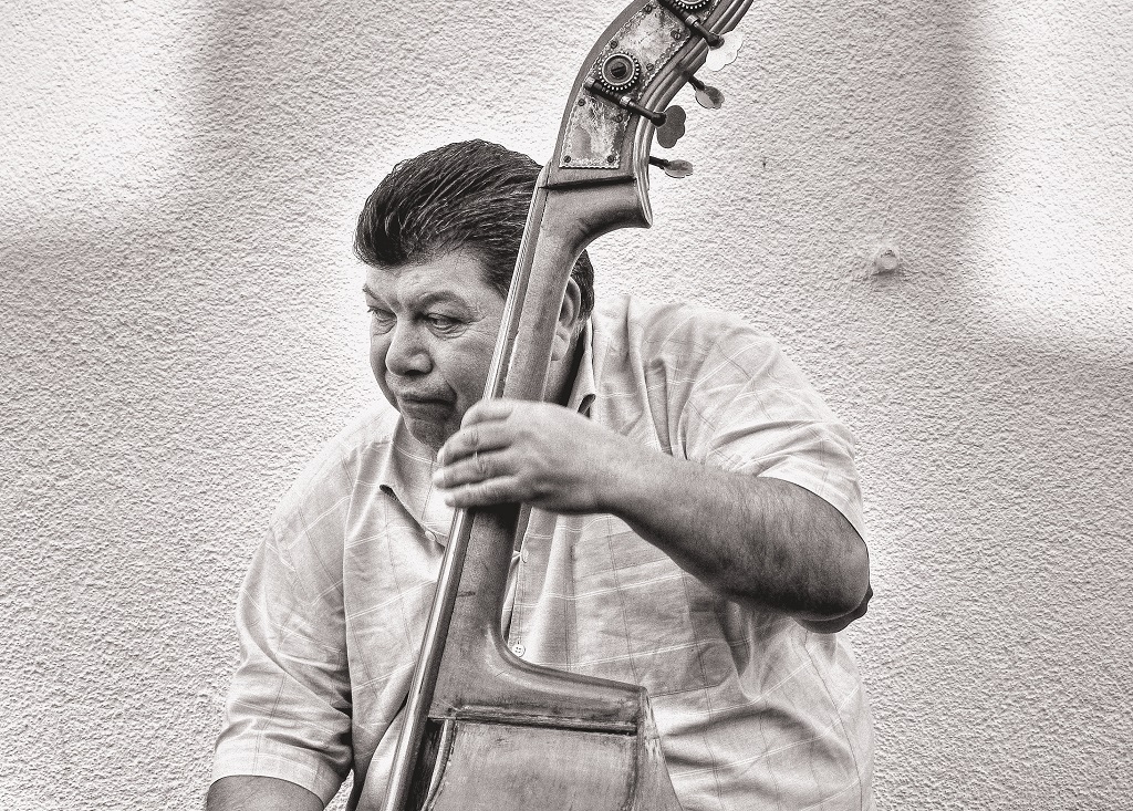 Musician by Kathleen McCrary