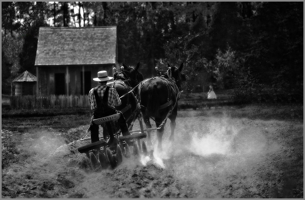 Plowing, A Dusty Job by Linda M Medine