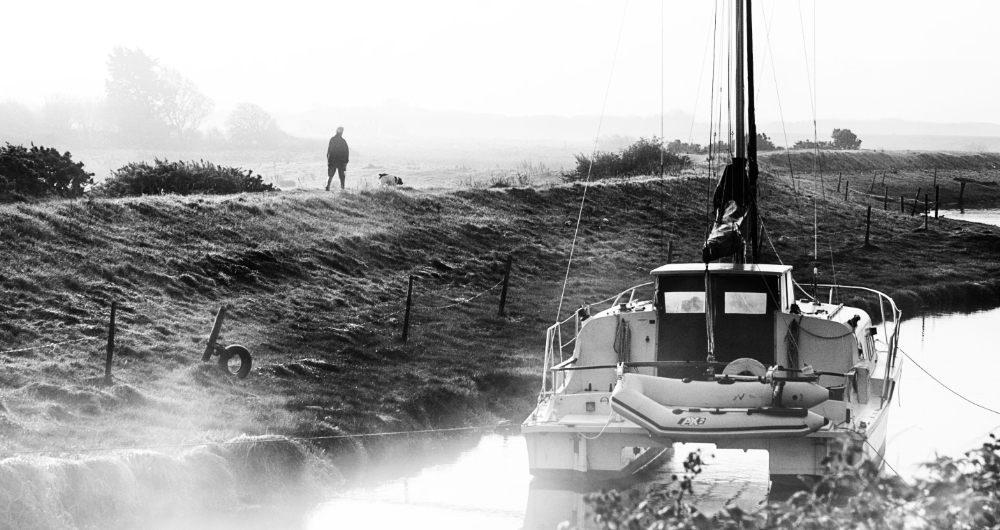 Early Morning Dog Walk by Robin Mellor