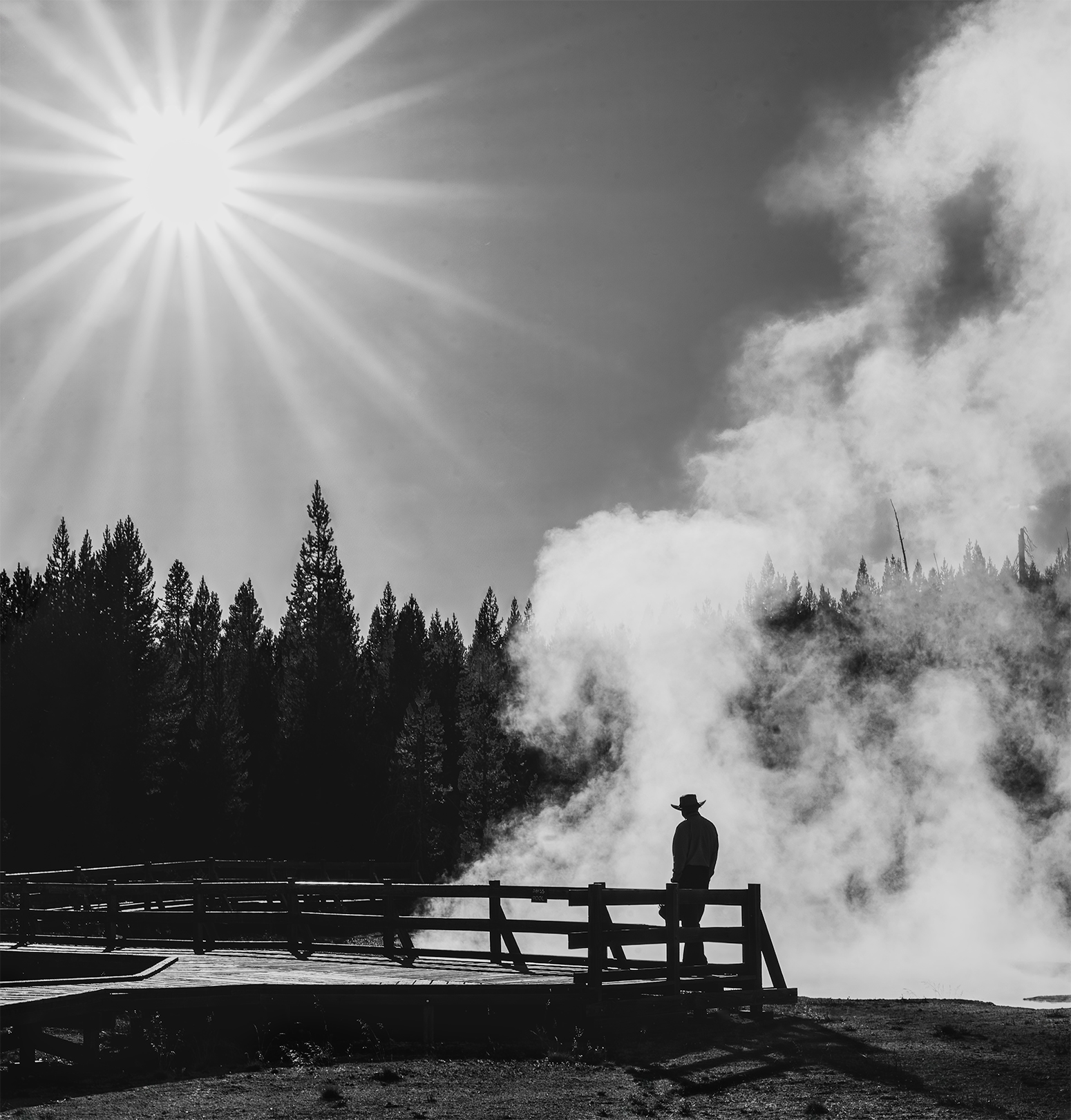 Poor Lonesome Cowboy by Maude Svensson