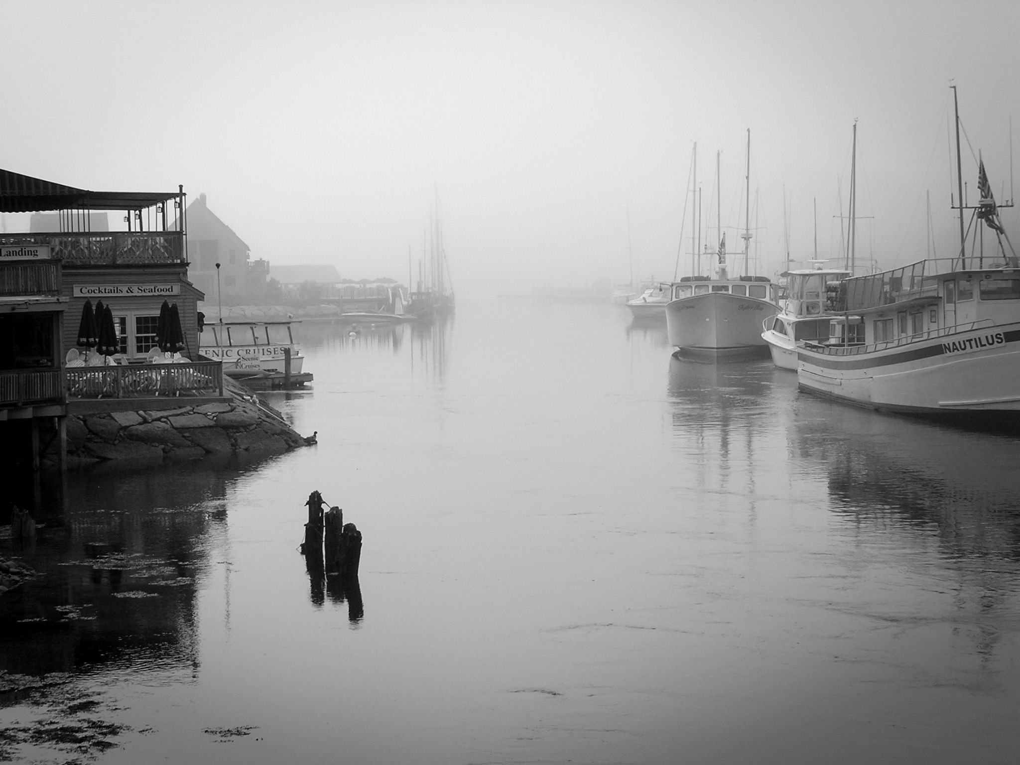 Maine Harbor Fog by Gary Vandemark