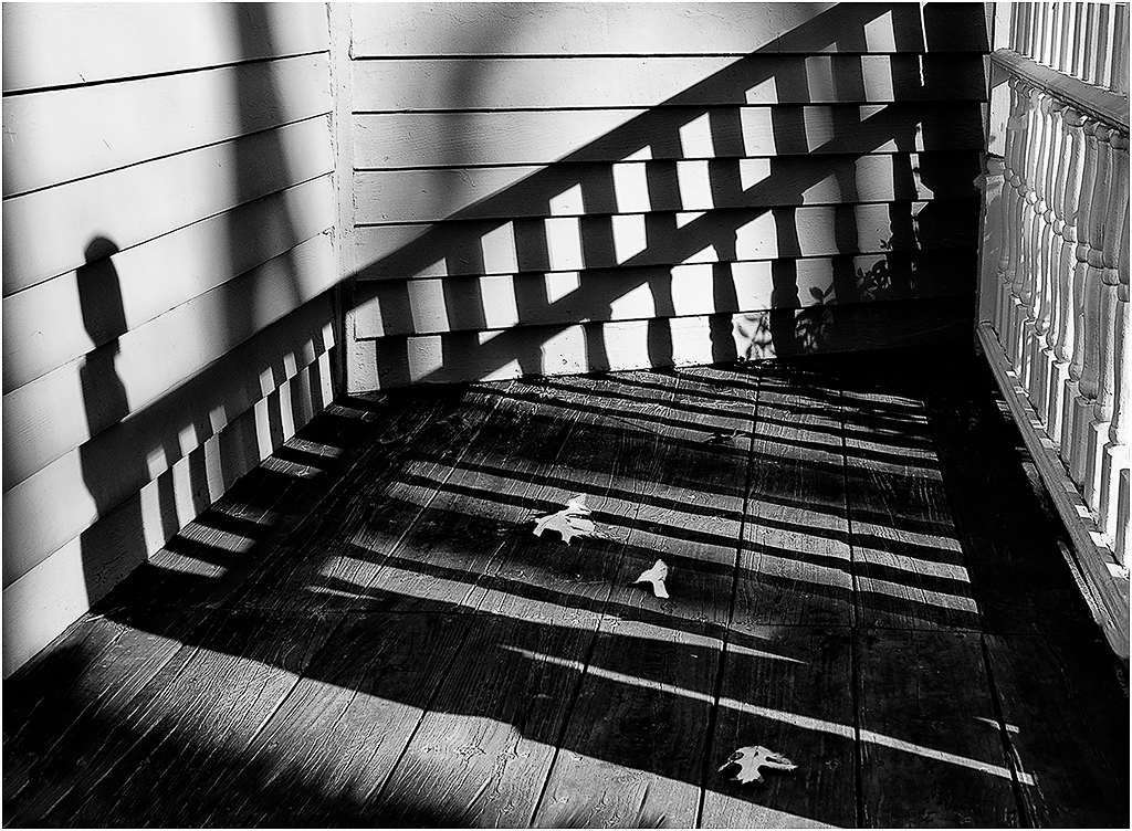 Shadows by Barbara Asacker